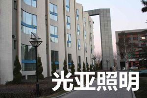 太陽能庭院燈廠 綠色照明與高效節能的完美融合